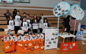 ekipa2014